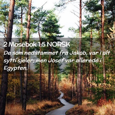 Picture 02 - 2 Mosebok 1:5 NORSK - De som nedstammet fra Jakob, var i alt sytti - Bible Verse Picture