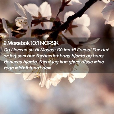 Picture 02 - 2 Mosebok 10:1 NORSK - Og Herren sa til Moses: Gå inn til Farao! For - Bible Verse Picture