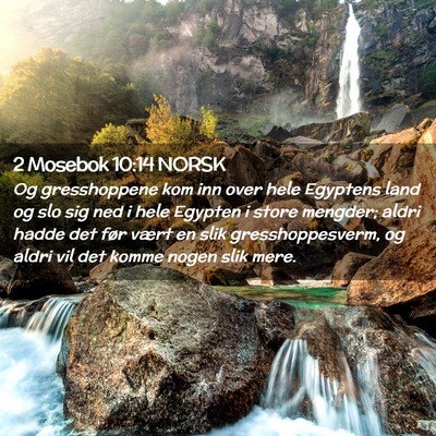 Picture 02 - 2 Mosebok 10:14 NORSK - Og gresshoppene kom inn over hele Egyptens land - Bible Verse Picture
