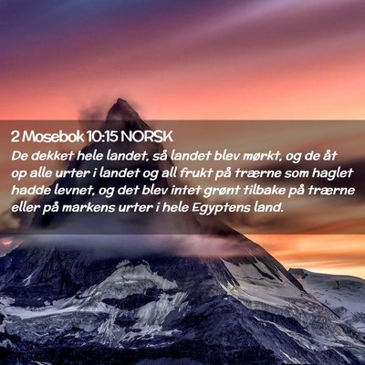 Picture 02 - 2 Mosebok 10:15 NORSK - De dekket hele landet, så landet blev mørkt, og - Bible Verse Picture