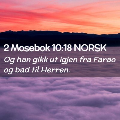 Picture 02 - 2 Mosebok 10:18 NORSK - Og han gikk ut igjen fra Farao og bad til - Bible Verse Picture