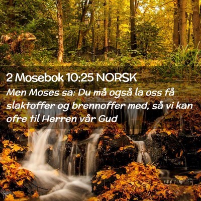 Picture 02 - 2 Mosebok 10:25 NORSK - Men Moses sa: Du må også la oss få slaktoffer - Bible Verse Picture