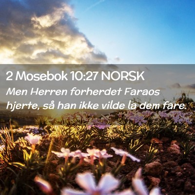 Picture 02 - 2 Mosebok 10:27 NORSK - Men Herren forherdet Faraos hjerte, så han ikke - Bible Verse Picture
