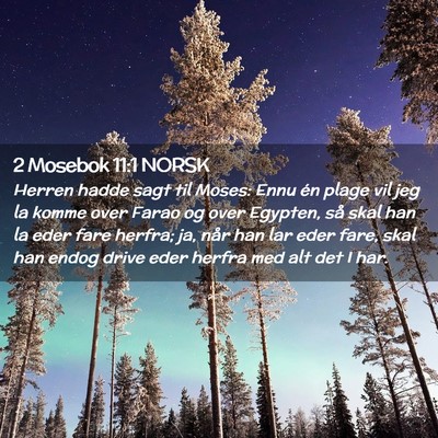 Picture 02 - 2 Mosebok 11:1 NORSK - Herren hadde sagt til Moses: Ennu én plage vil - Bible Verse Picture