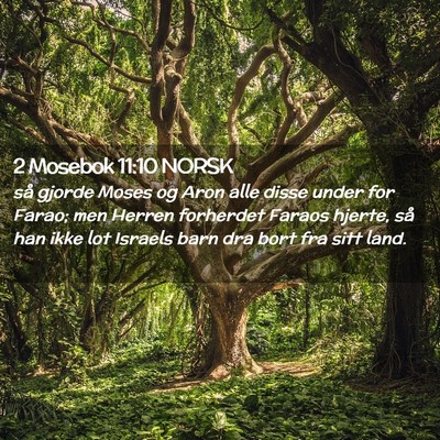 Picture 02 - 2 Mosebok 11:10 NORSK - så gjorde Moses og Aron alle disse under for - Bible Verse Picture