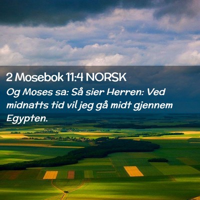 Picture 02 - 2 Mosebok 11:4 NORSK - Og Moses sa: Så sier Herren: Ved midnatts tid - Bible Verse Picture