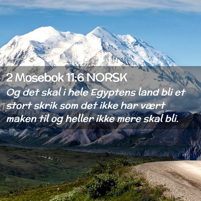 Picture 02 - 2 Mosebok 11:6 NORSK - Og det skal i hele Egyptens land bli et stort - Bible Verse Picture