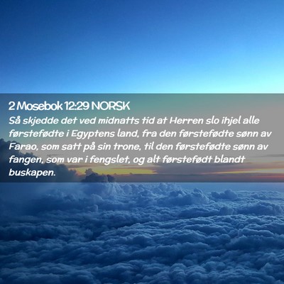 Picture 02 - 2 Mosebok 12:29 NORSK - Så skjedde det ved midnatts tid at Herren slo - Bible Verse Picture