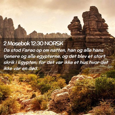 Picture 02 - 2 Mosebok 12:30 NORSK - Da stod Farao op om natten, han og alle hans - Bible Verse Picture