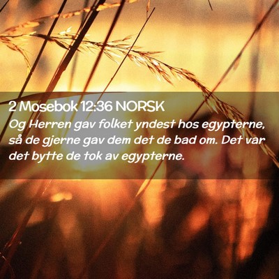 Picture 02 - 2 Mosebok 12:36 NORSK - Og Herren gav folket yndest hos egypterne, så de - Bible Verse Picture