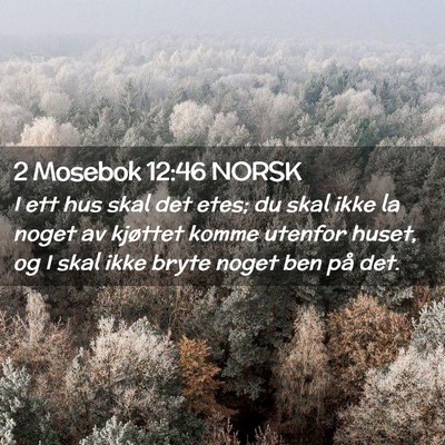 Picture 02 - 2 Mosebok 12:46 NORSK - I ett hus skal det etes; du skal ikke la noget av - Bible Verse Picture