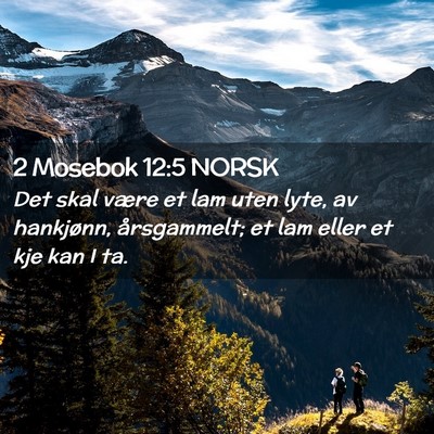 Picture 02 - 2 Mosebok 12:5 NORSK - Det skal være et lam uten lyte, av hankjønn, - Bible Verse Picture