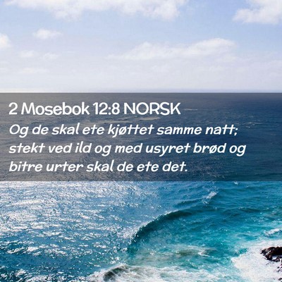 Picture 02 - 2 Mosebok 12:8 NORSK - Og de skal ete kjøttet samme natt; stekt ved ild - Bible Verse Picture