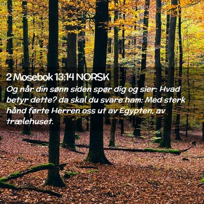 Picture 02 - 2 Mosebok 13:14 NORSK - Og når din sønn siden spør dig og sier: Hvad - Bible Verse Picture