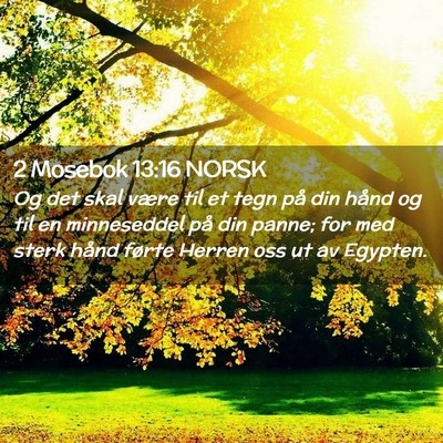 Picture 02 - 2 Mosebok 13:16 NORSK - Og det skal være til et tegn på din hånd og - Bible Verse Picture
