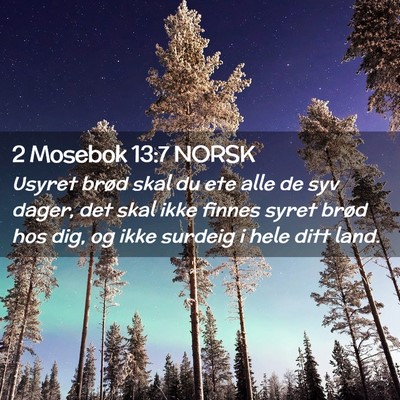 Picture 02 - 2 Mosebok 13:7 NORSK - Usyret brød skal du ete alle de syv dager, det - Bible Verse Picture