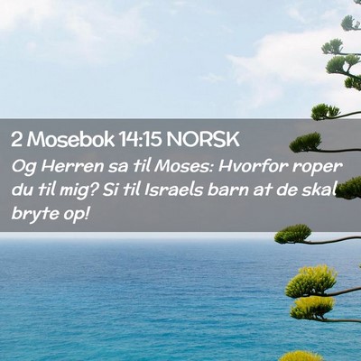 Picture 02 - 2 Mosebok 14:15 NORSK - Og Herren sa til Moses: Hvorfor roper du til mig? - Bible Verse Picture