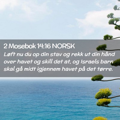 Picture 02 - 2 Mosebok 14:16 NORSK - Løft nu du op din stav og rekk ut din hånd over - Bible Verse Picture
