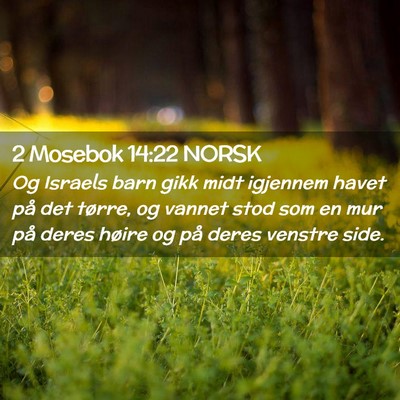 Picture 02 - 2 Mosebok 14:22 NORSK - Og Israels barn gikk midt igjennem havet på det - Bible Verse Picture