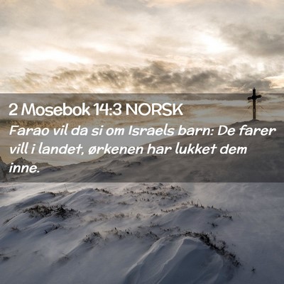 Picture 02 - 2 Mosebok 14:3 NORSK - Farao vil da si om Israels barn: De farer vill i - Bible Verse Picture