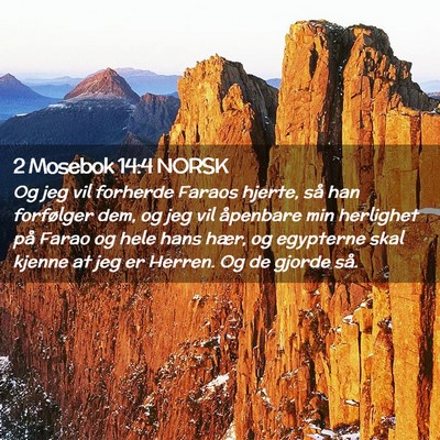 Picture 02 - 2 Mosebok 14:4 NORSK - Og jeg vil forherde Faraos hjerte, så han - Bible Verse Picture