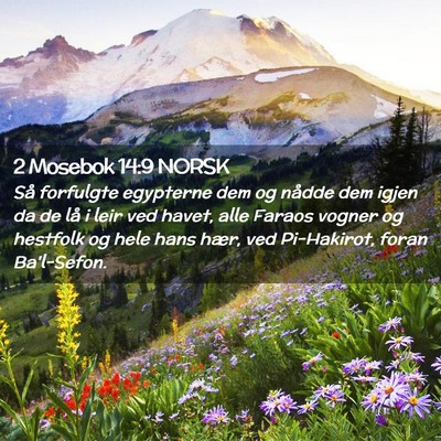 Picture 02 - 2 Mosebok 14:9 NORSK - Så forfulgte egypterne dem og nådde dem igjen - Bible Verse Picture