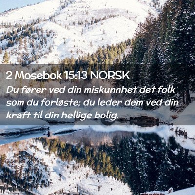 Picture 02 - 2 Mosebok 15:13 NORSK - Du fører ved din miskunnhet det folk som du - Bible Verse Picture