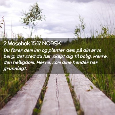 Picture 02 - 2 Mosebok 15:17 NORSK - Du fører dem inn og planter dem på din arvs - Bible Verse Picture