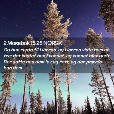 Picture 02 - 2 Mosebok 15:25 NORSK - Og han ropte til Herren, og Herren viste ham et - Bible Verse Picture