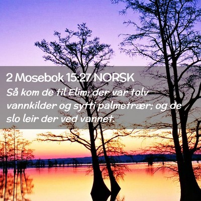 Picture 02 - 2 Mosebok 15:27 NORSK - Så kom de til Elim; der var tolv vannkilder og - Bible Verse Picture