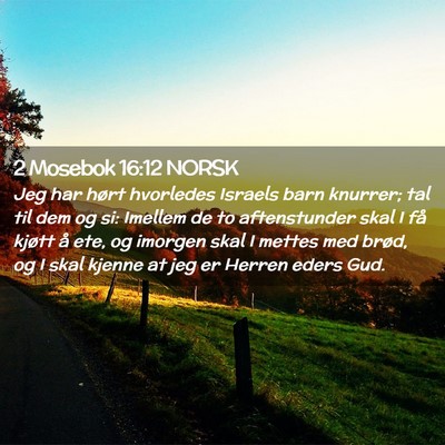 Picture 02 - 2 Mosebok 16:12 NORSK - Jeg har hørt hvorledes Israels barn knurrer; tal - Bible Verse Picture