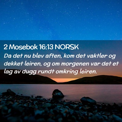 Picture 02 - 2 Mosebok 16:13 NORSK - Da det nu blev aften, kom det vaktler og dekket - Bible Verse Picture