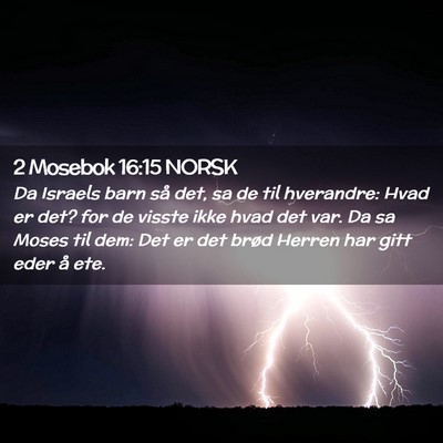 Picture 02 - 2 Mosebok 16:15 NORSK - Da Israels barn så det, sa de til hverandre: - Bible Verse Picture