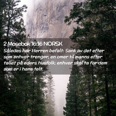 Picture 02 - 2 Mosebok 16:16 NORSK - Således har Herren befalt: Sank av det efter som - Bible Verse Picture