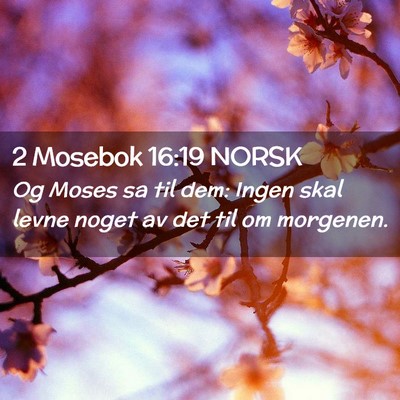 Picture 02 - 2 Mosebok 16:19 NORSK - Og Moses sa til dem: Ingen skal levne noget av - Bible Verse Picture