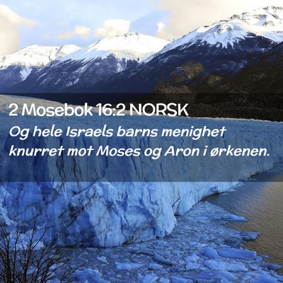 Picture 02 - 2 Mosebok 16:2 NORSK - Og hele Israels barns menighet knurret mot Moses - Bible Verse Picture