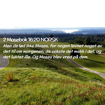 Picture 02 - 2 Mosebok 16:20 NORSK - Men de lød ikke Moses, for nogen levnet noget av - Bible Verse Picture