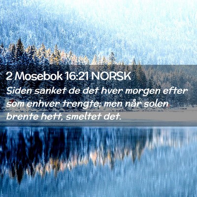Picture 02 - 2 Mosebok 16:21 NORSK - Siden sanket de det hver morgen efter som enhver - Bible Verse Picture