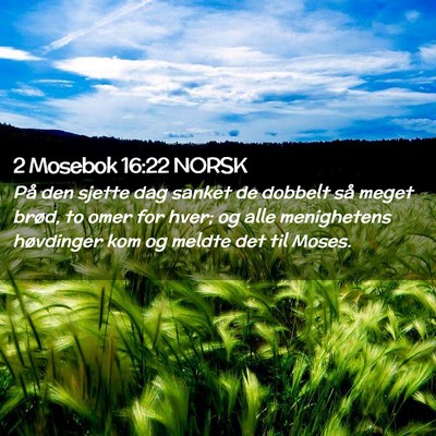 Picture 02 - 2 Mosebok 16:22 NORSK - På den sjette dag sanket de dobbelt så meget - Bible Verse Picture