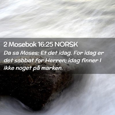 Picture 02 - 2 Mosebok 16:25 NORSK - Da sa Moses: Et det idag. For idag er det sabbat - Bible Verse Picture