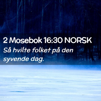 Picture 02 - 2 Mosebok 16:30 NORSK - Så hvilte folket på den syvende - Bible Verse Picture