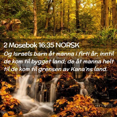 Picture 02 - 2 Mosebok 16:35 NORSK - Og Israels barn åt manna i firti år, inntil de - Bible Verse Picture
