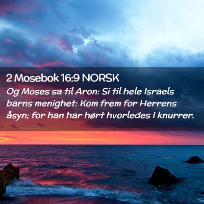 Picture 02 - 2 Mosebok 16:9 NORSK - Og Moses sa til Aron: Si til hele Israels barns - Bible Verse Picture