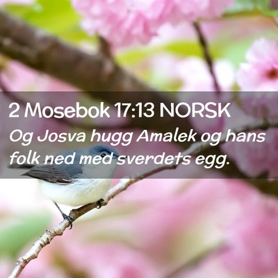 Picture 02 - 2 Mosebok 17:13 NORSK - Og Josva hugg Amalek og hans folk ned med - Bible Verse Picture