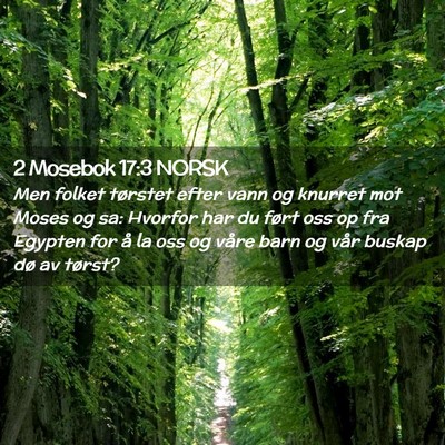 Picture 02 - 2 Mosebok 17:3 NORSK - Men folket tørstet efter vann og knurret mot - Bible Verse Picture