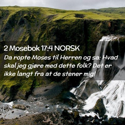 Picture 02 - 2 Mosebok 17:4 NORSK - Da ropte Moses til Herren og sa: Hvad skal jeg - Bible Verse Picture