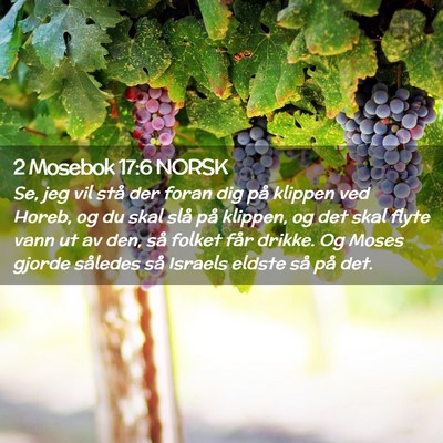 Picture 02 - 2 Mosebok 17:6 NORSK - Se, jeg vil stå der foran dig på klippen ved - Bible Verse Picture