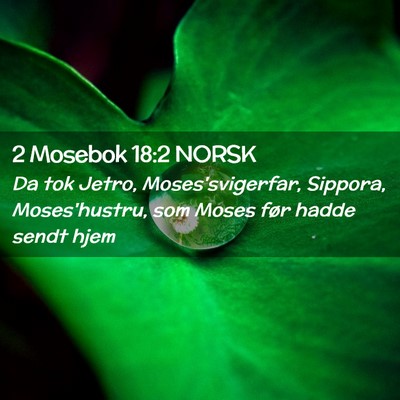 Picture 02 - 2 Mosebok 18:2 NORSK - Da tok Jetro, Moses'svigerfar, Sippora, - Bible Verse Picture