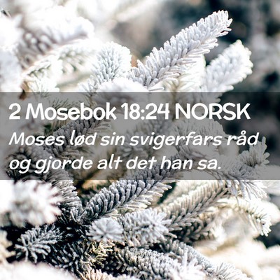 Picture 02 - 2 Mosebok 18:24 NORSK - Moses lød sin svigerfars råd og gjorde alt det - Bible Verse Picture