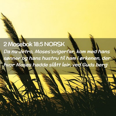 Picture 02 - 2 Mosebok 18:5 NORSK - Da nu Jetro, Moses'svigerfar, kom med hans - Bible Verse Picture